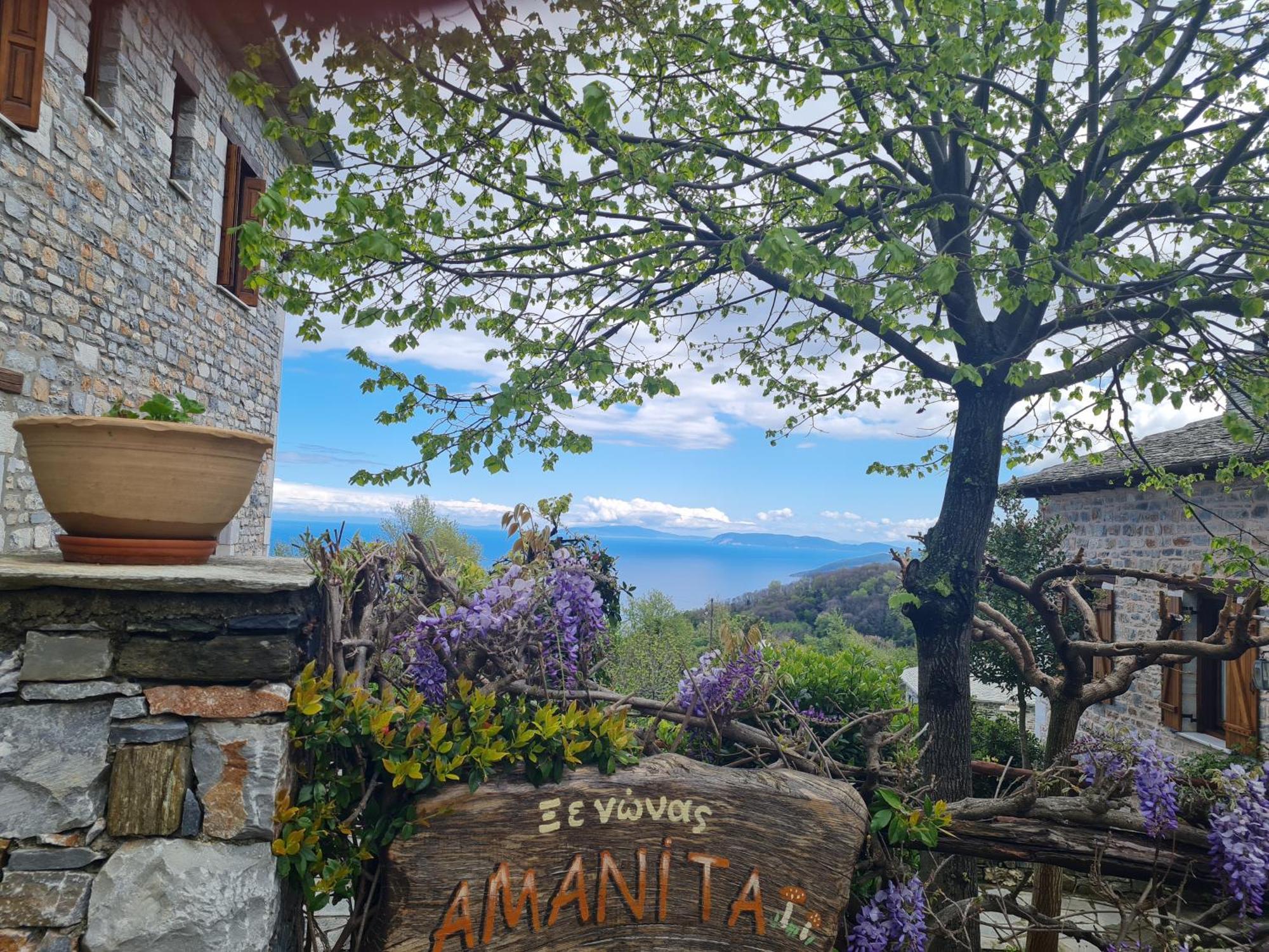 Amanita Boutique Hotel Tsagkarada Exterior foto